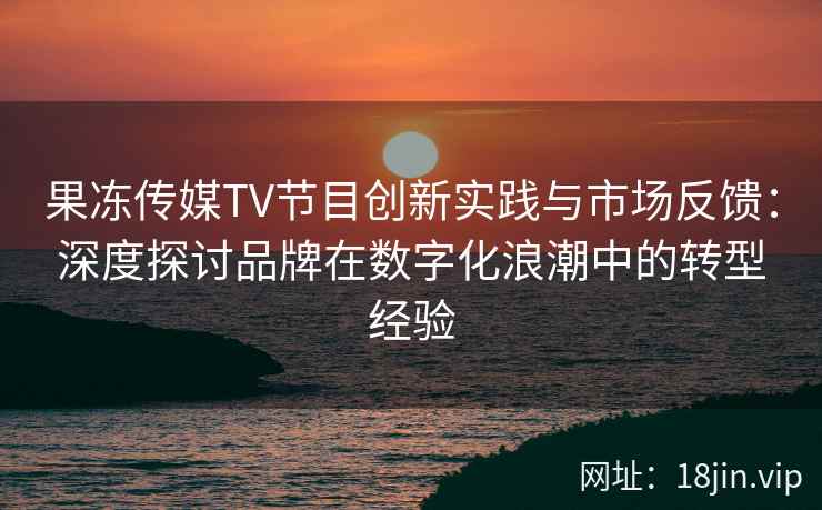 果冻传媒TV节目创新实践与市场反馈：深度探讨品牌在数字化浪潮中的转型经验