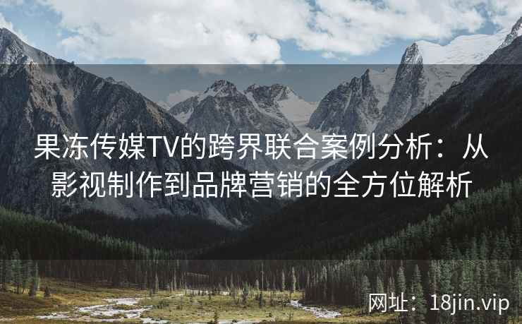 果冻传媒TV的跨界联合案例分析：从影视制作到品牌营销的全方位解析
