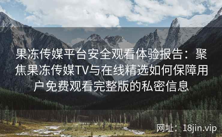 果冻传媒平台安全观看体验报告：聚焦果冻传媒TV与在线精选如何保障用户免费观看完整版的私密信息