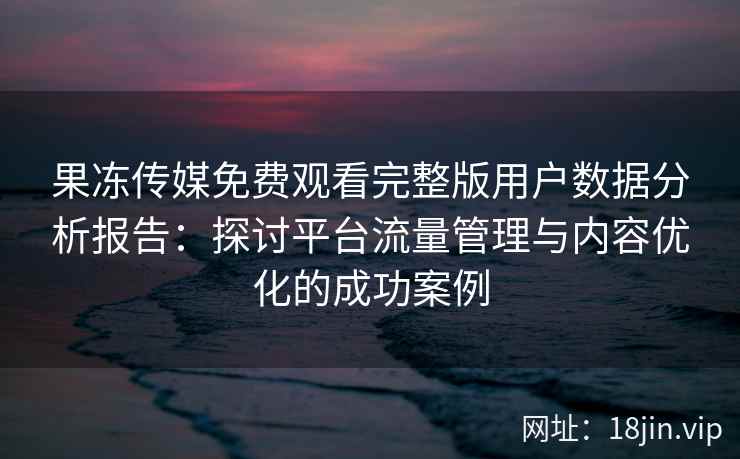 果冻传媒免费观看完整版用户数据分析报告：探讨平台流量管理与内容优化的成功案例