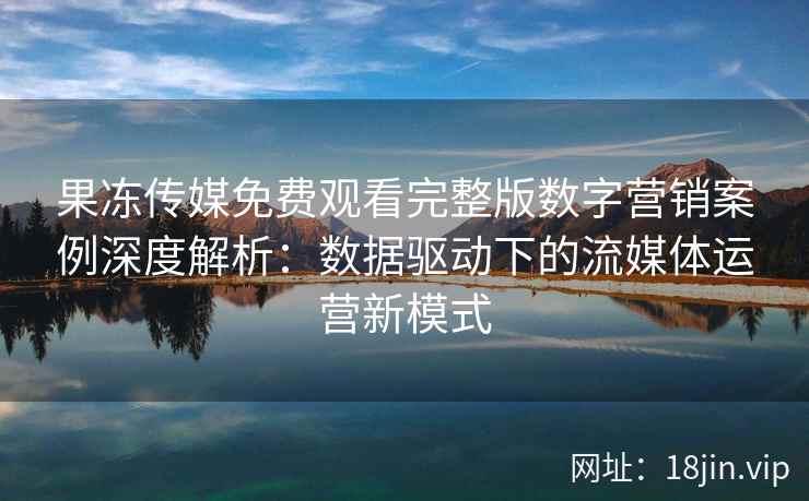 果冻传媒免费观看完整版数字营销案例深度解析：数据驱动下的流媒体运营新模式