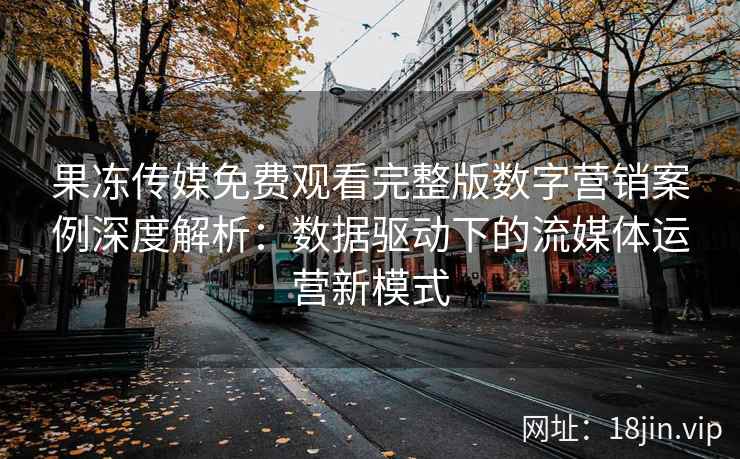 果冻传媒免费观看完整版数字营销案例深度解析：数据驱动下的流媒体运营新模式