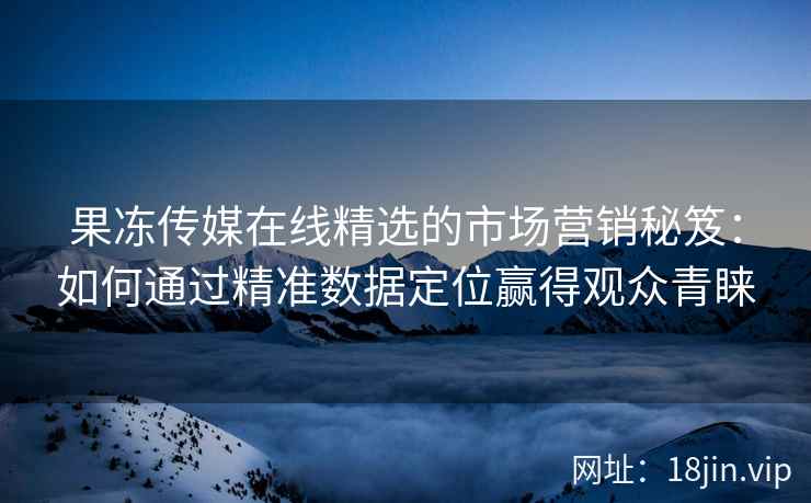 果冻传媒在线精选的市场营销秘笈：如何通过精准数据定位赢得观众青睐